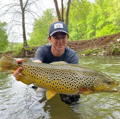 Trout Fishing in Georgia